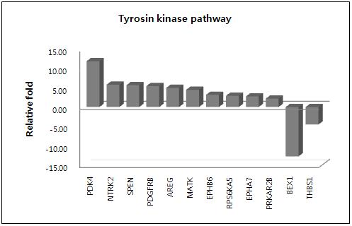 putative CSC의 Tyrosin kinase pathway 관련 유전자 발현 패턴