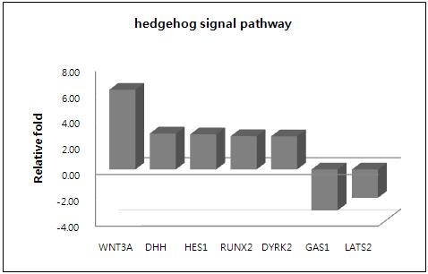 putative CSC의 Hedgehog signal pathway 관련 유전자 발현 패턴