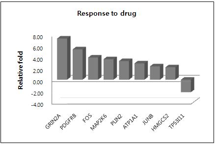 putative CSC의 Response to drug 관련 유전자 발현 패턴