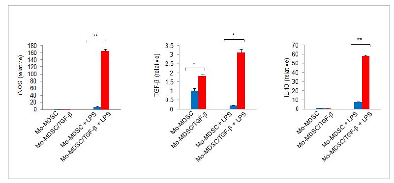 TGF-β 유무에 따른 골수세포에서 유래된 MDSC subpopulation의 효과기 분자들의 mRNA level (iNOS, TGF-β, IL-10)