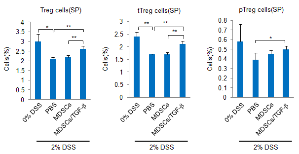 DSS 유도 마우스에서 골수 세포에서 유래된 Mo-MDSC 세포 이식 후 비장 내 면역 조절 T세포의 비율 (전체 면역 조절 T 세포, tTreg 세포, pTreg 세포)