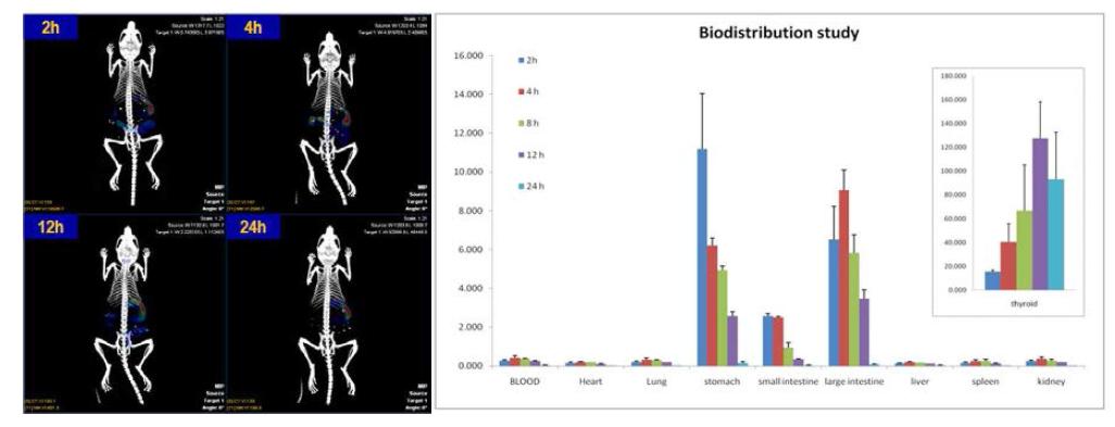 방사능 동위원소(I-123)가 표지된 고분자 물질의 SPECT/CT 영상(좌)과 체내 분포도(biodistribution) 결과(우)