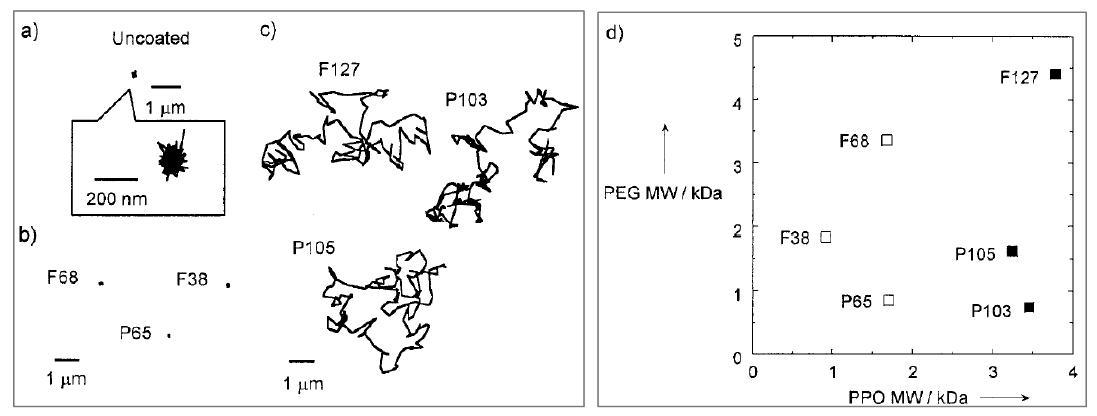 Pluronic이 코팅된 나노입자의 점막층내에서의 Transport behavior