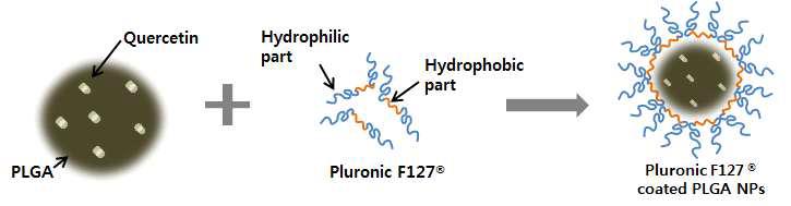 Pluronic F127® 혹은 PVA로 표면개질된 PLGA 나노입자 형성과정의 모식도