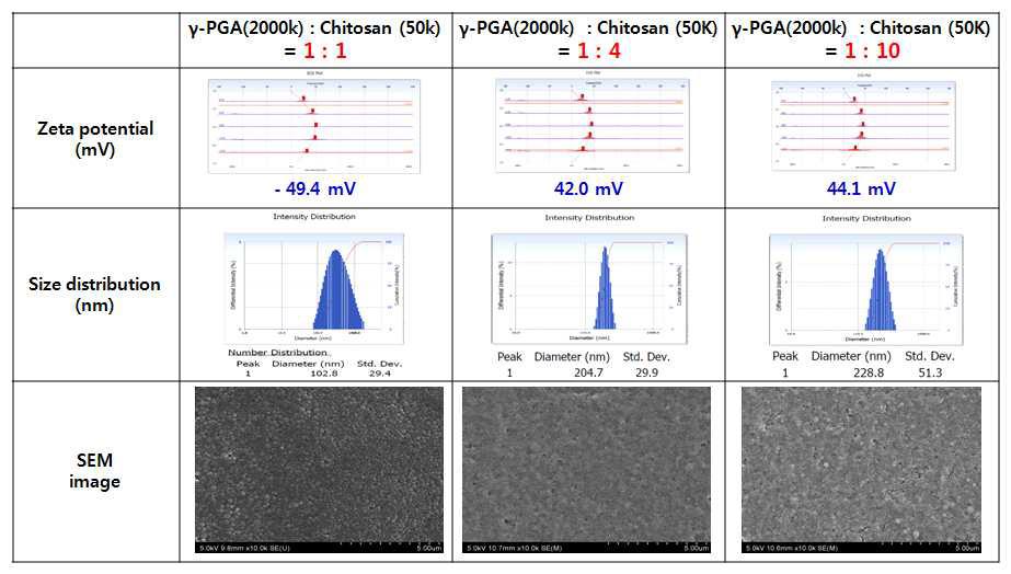 질량 비율에 따른 표면전하가 다른 γ-PGA /Chitosan 나노입자 제조