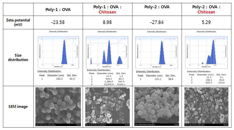 Chitosan/PBAE(poly-beta-amino ester) 나노입자의 제조