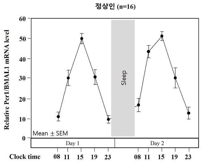 정상인 대조군의 유전자 생체리듬.