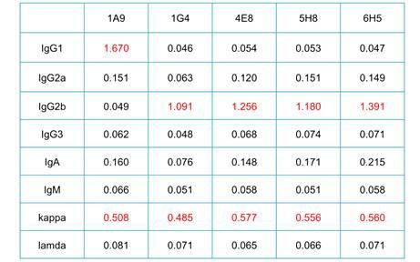 Isotyping test of anti-AB-204 mAbs