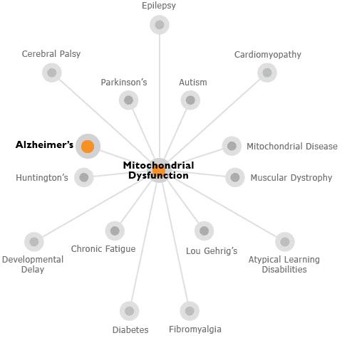 Mitochondrial abnormalities correlate with some of the structural changes that are seen in brains of Alzheimer’s patients. Age-related degradation of mitochondria function is a prime suspect in the pathophysiology of sporadic Alzheimer’s disease.