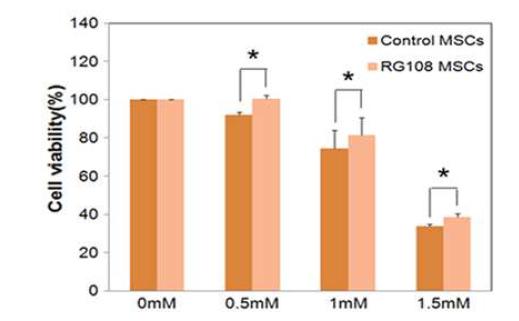 Protective effects of RG108 in hBM-MSCs