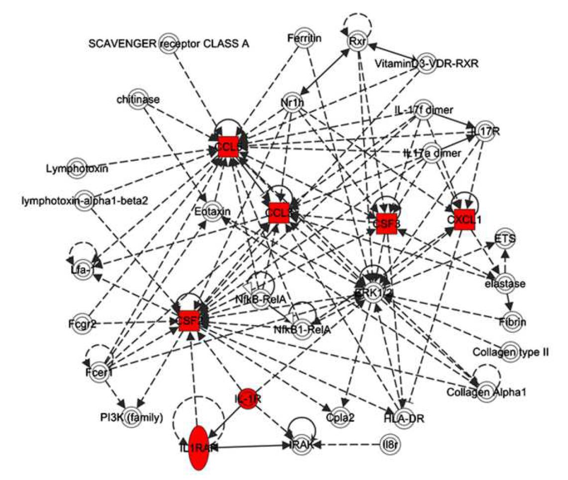 인간 성상세포에서 분비되는 cytokine/chemokine의 분자 네트워크.