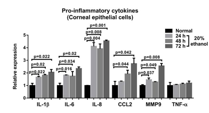 20% ethanol 에 의해 각막상피세포가 내는 염증 싸이토카인의 발현이 유의하게 증가하였음