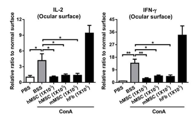 Concanavalin A 를 눈물샘내 주사한 후 인간 혹은 마우스 골수유래 중간엽 줄기세포를 주입하였을 때 안구표면의 염증 싸이토카인의 양이 유의하게 감소하였지만, 인간 섬유아세포는 염증 싸이토카인의 양을 증가시켰음