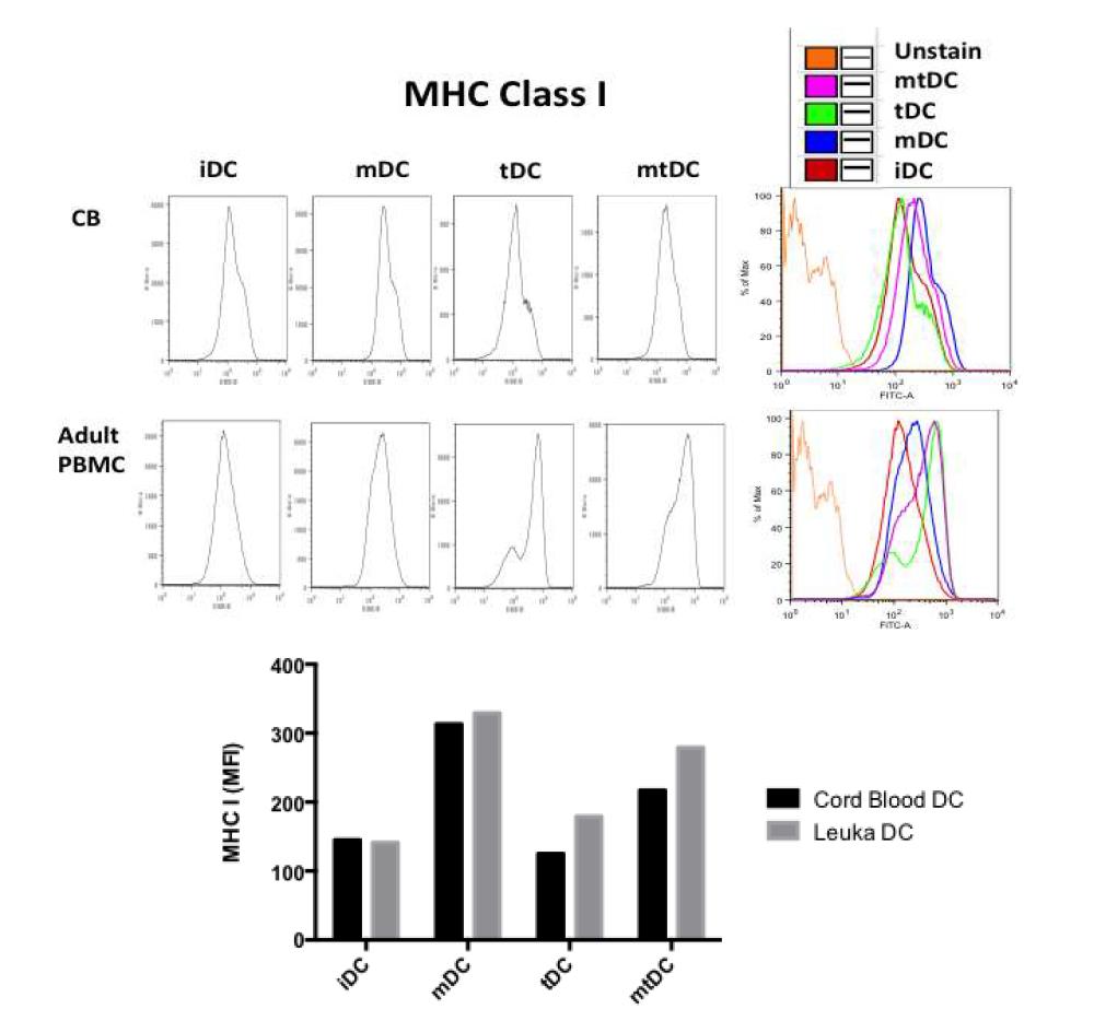 제대혈 유래 수지상세포와 성인의 PBMC에서 유래된 수지상세포의 모든 그룹들에서 유사한 MHC class I이 발현되는 것을 확인함.