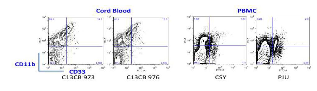 위의 그림은 각각 제대혈과 PBMC에서 Lin-, HLA-DR-의 세포를 gating 한 후에 CD11b와 CD33의 발현을 확인한 결과 흥미롭게도 제대혈 안에 MDSC ( Lin-, HLA-DR-, CD11b+CD33+, 참고문헌 4,5,6)들이 20%에 가까운 발현을 보이는 것을 관찰하였고 반면에 PBMC 에는 2~3% 미만의 낮은 발현을 보임