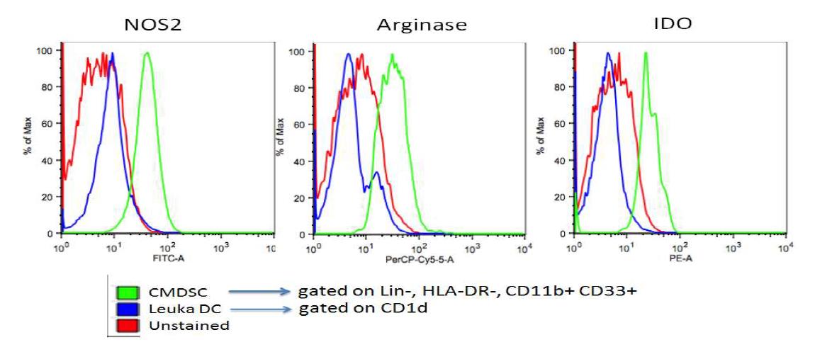 6주간 배양된 제대혈 유래 MDSC (CMDSC)와 성인 PBMC 유래 수지상세포 (Leuka DC) 에서 NOS2, Arginase 1, IDO의 발현을 비교한 결과 CMDSC는 이러한 세 가지 분자들 의미 있게 높이 발현됨을 관찰하였고 Leuka DC에서는 Arginase 1, IDO가 unstained보다 약간 증가됨이 관찰됨.