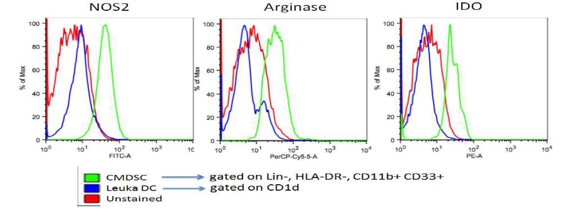 6주간 배양된 제대혈 유래 MDSC (CMDSC)와 성인 PBMC 유래 수지상세포 (Leuka DC) 에서 NOS2, Arginase 1, IDO의 발현을 비교한 결과 CMDSC는 이러한 세 가지 분자들 의미 있게 높이 발현됨을 관찰하였고 Leuka DC에서는 Arginase 1, IDO가 unstained보다 약간 증가됨이 관찰됨.