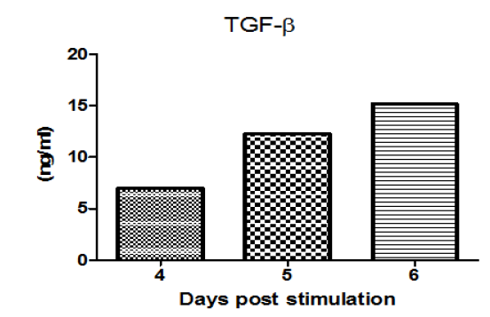 Mo-Flo로 sorting 된 Treg 세포를 FAPC로 자극 후 TGF-b를 ELISA assay로 측정한 결과 증가된 TGF-b를 관찰함