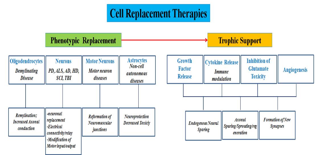 퇴행성신경질환에서의 다원적인 세포치료제의 필요성