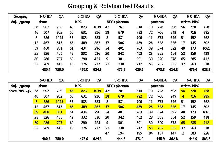 세포이식후 rotation 행동 분석결과