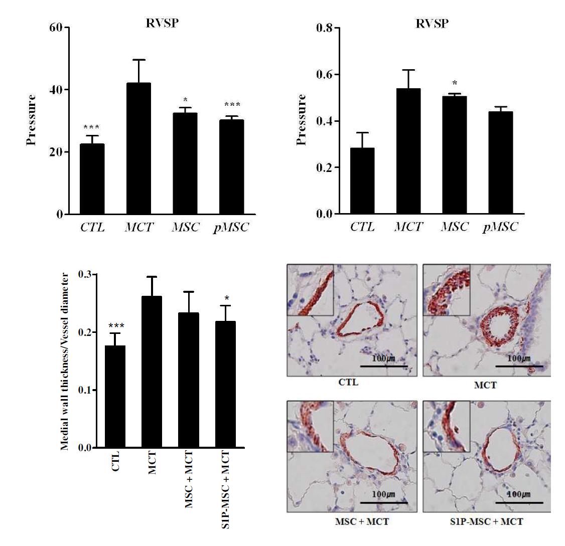 250K의 CB- MSC를 주었을 때, RVSP만 호전시킨 데 반해, S1P primed CB- MSC는 PAH rat model에서 RVSP, RV/(LV+S) 모두에서 일관된 호전을 보이는데 성공함