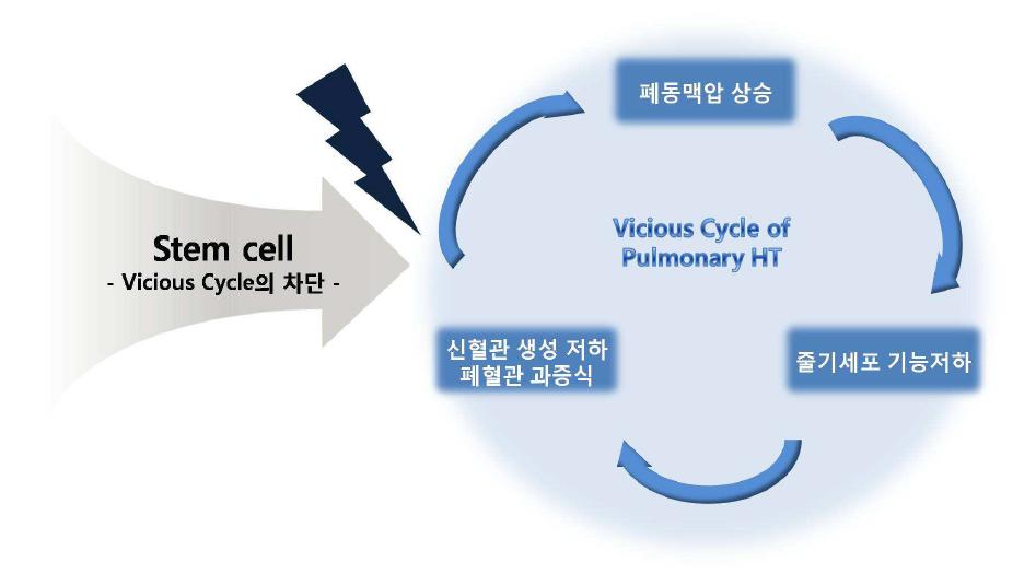 줄기세포 치료에 의한 폐동맥고혈압 치료 기전