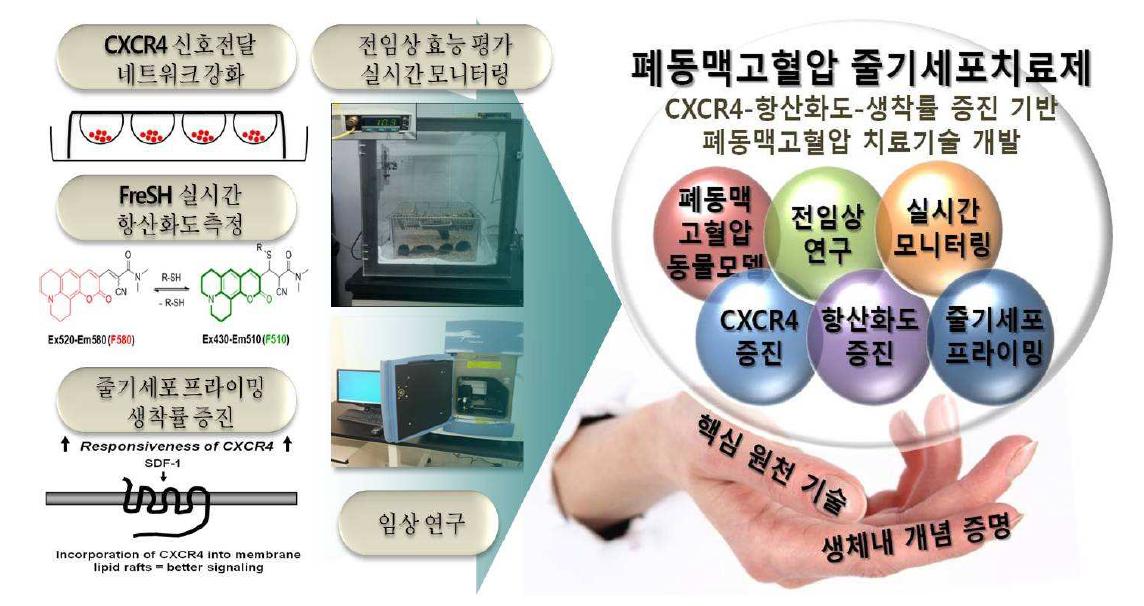 PCF 차세대 줄기세포군 개발 연구 모식도