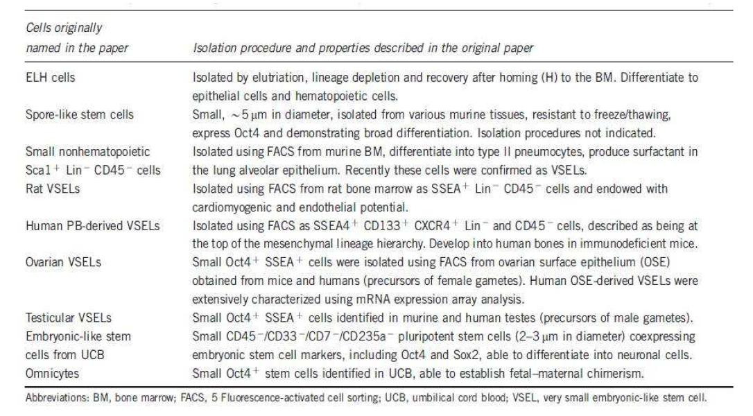 Oct4 expressing adult stem cells