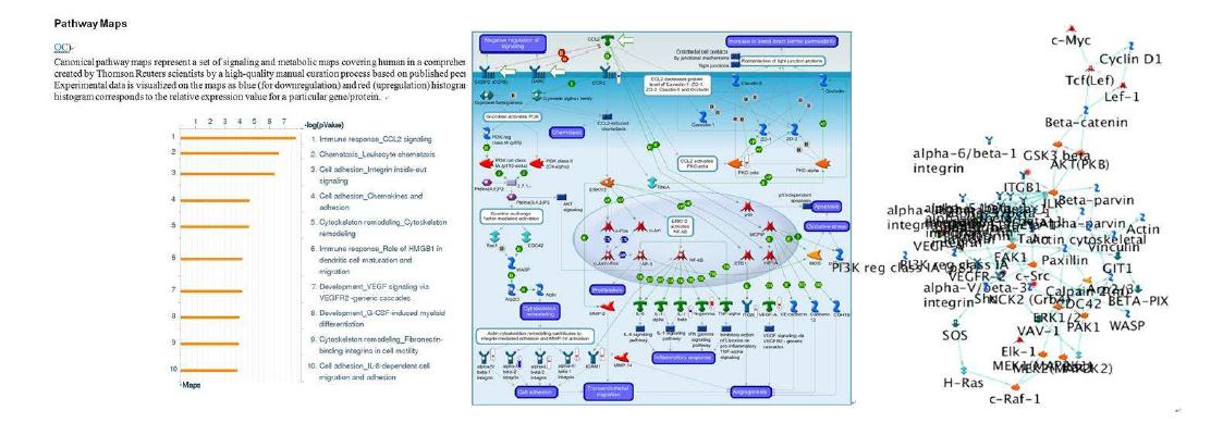 MetacoreTM microarray data analysis software