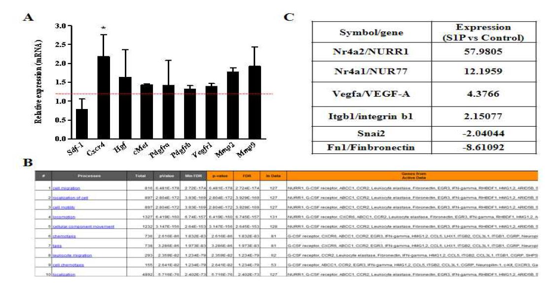 The transcriptome analysis of UCB_MSC primed with S1P