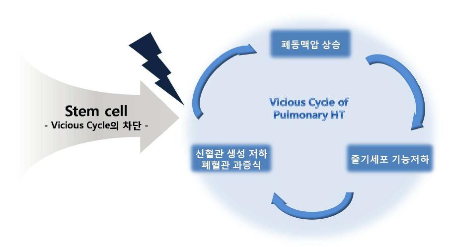 폐동맥고혈압에 관한 줄기세포 치료 효능 가능성