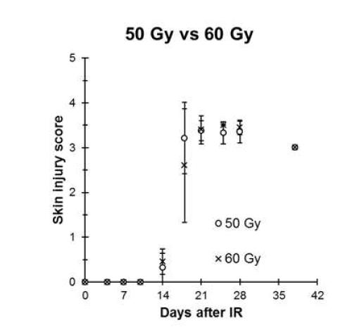 랫드의 방사선 피부손상모델에서 조사한 방사선량에 따른 피부 병변의 피부 손상점수의 비교