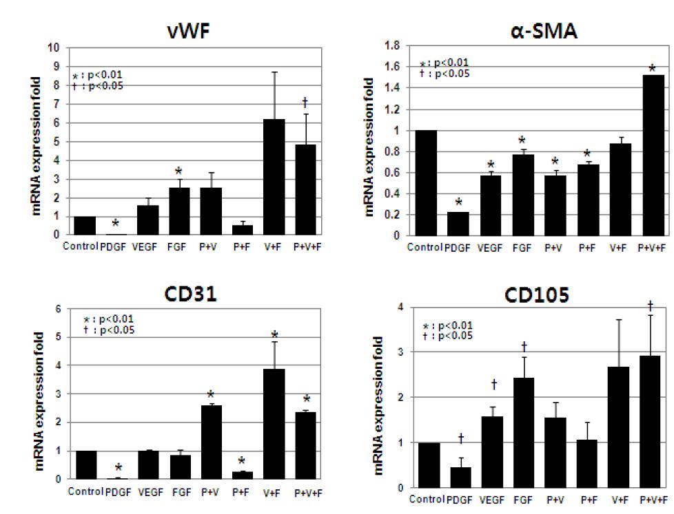 Real-time PCR을 이용한 수화젤에서 3차원배양한 hMSC+HUVEC (1:1비율)에서 angiogenesis관련 유전자 vWF, aSMA, CD31 그리고 CD105 발현 정량