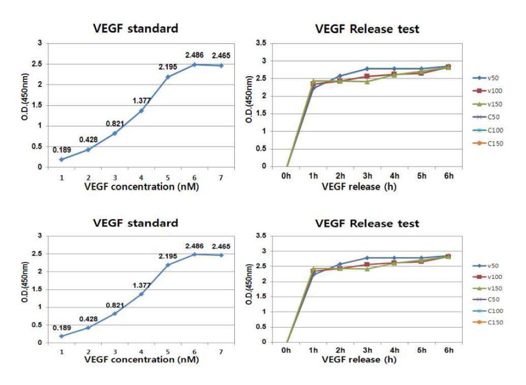 ELISA　duoset kit를 이용한 FGF와 VEGF releas test 위: FGF standard curve(왼쪽), FGF release test 결과(오른쪽), 아래: VEGF standard curve(왼쪽), VEGF release test결과(오른쪽)