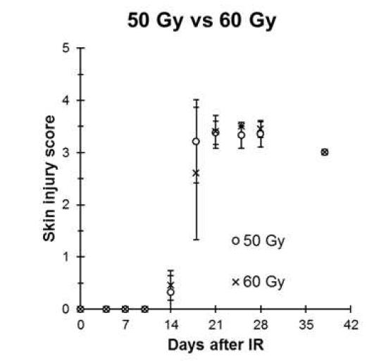 랫드의 방사선 피부손상모델에서 조사한 방사선량에 따른 피부 병변의 피부손상점수의 비교