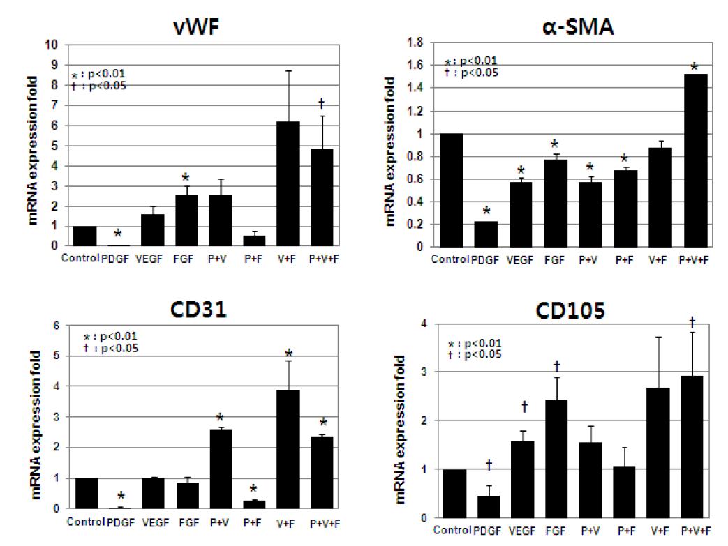 Real-time PCR을 이용한 수화젤에서 3차원배양한 hMSC+HUVEC (1:1비율)에서 angiogenesis관련 유전자 vWF, 􌣠SMA, CD31 그리고 CD105 발현 정량