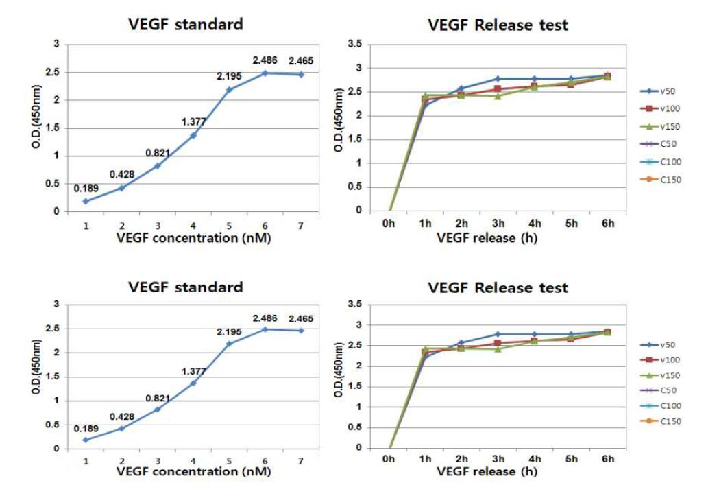 ELISA　duoset kit를 이용한 FGF와 VEGF releas test 위: FGF standard curve(왼쪽), FGF release test 결과(오른쪽), 아래: VEGF standard curve(왼쪽), VEGF release test결과(오른쪽)