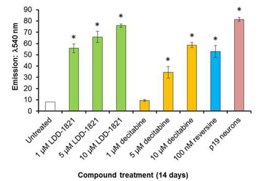 LDD- 1821에 의한 근육세포의 신경세포로의 리프로그래밍 정도를 평가한 F1- 43 assay. Decitabine은 DNA Methyltransferase의 저해제로서 LDD- 1821의 비교군으로 사용되었고, 신경세포로 분화한 p19 마우스 배아세포는 positive control로 사용됨. LDD- 1821에 의해 리프로그래밍된 신경세포는 마우스 배아세포로부터 분화된 뉴런과 비슷한 정도를 보임