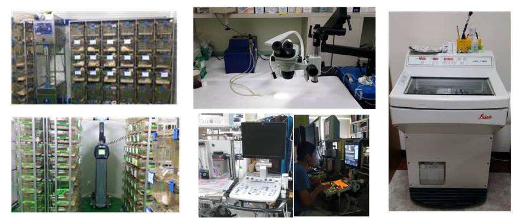 공조 시스템을 갖춘 동물실, 소동물 산소호흡기, 조명기, 실체현미경등을 갖춘 전용 연구실, 심기능 평가를 위한 초음파 시설 및 조직 분석을 위한 기기 확보
