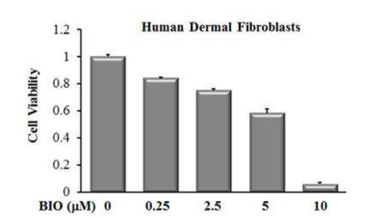 BIO처리에 의한 사람피부 섬유세포주의 증식 변화 피부섬유세포에 BIO를 농도별로처리하여 2일간 배양하여 세포 증식을 정량하였음. BIO 5 mM에서 약 50%의 감소를 보였음.