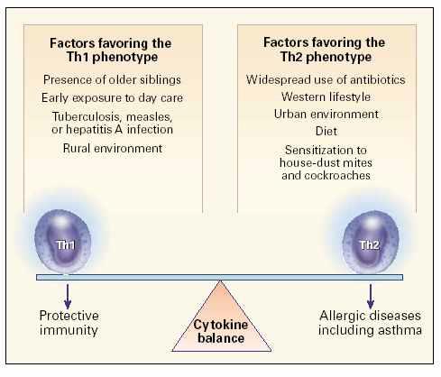 The importance of establishing a balance between Th1-type and Th2-type cytokine responses