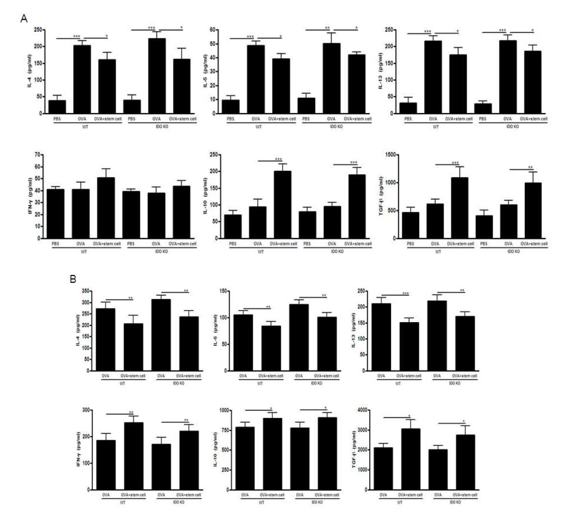 BALF와 lung draining lymph node에서의 Th1, 2 염증성 사이토카인의 농도 (IDO 결손 모델)