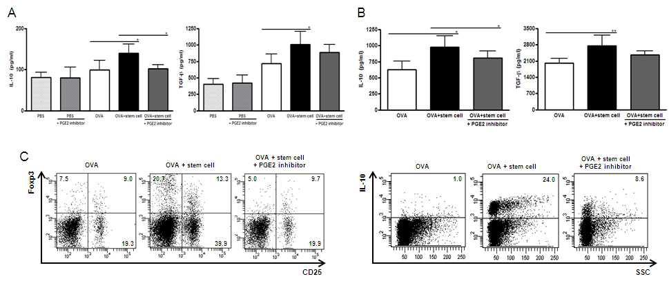 BALF와 lung draining lymph node에서의 항 염증성 사이토카인 농도 및 조절 T 세포의 군집(PGE2 blocking 모델)