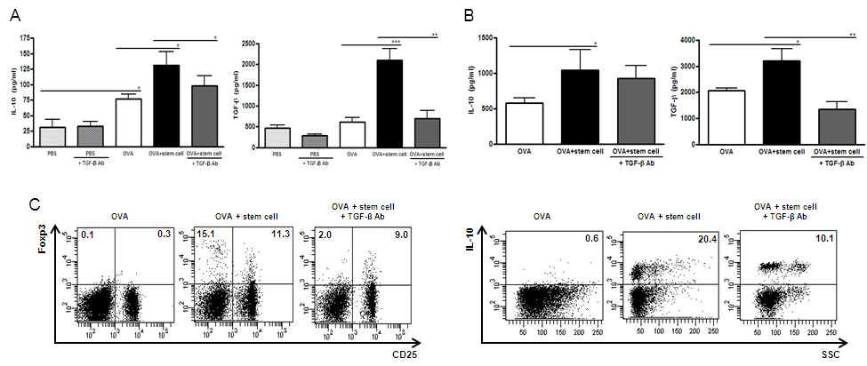 BALF와 lung draining lymph node에서의 항 염증성 사이토카인 농도 및 조절 T 세포의 군집(TGF-β blocking 모델)