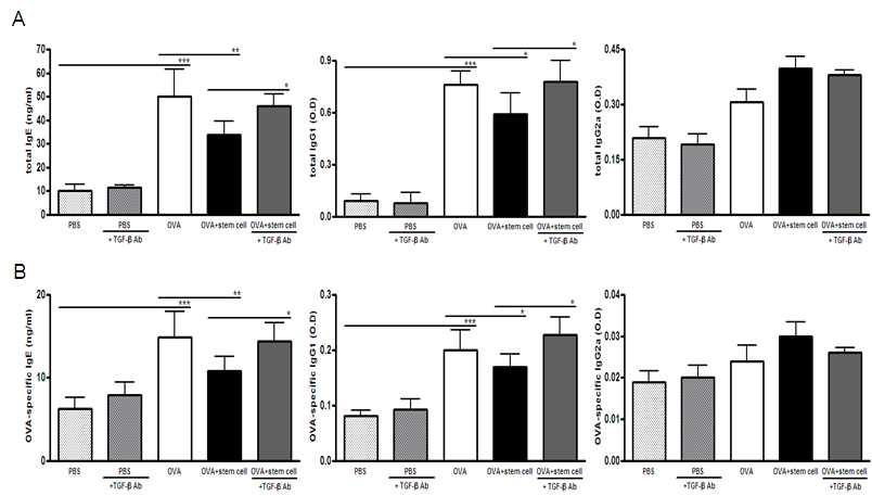 혈청 내 OVA-specific IgE, IgG1, IgG2a 농도 차이(TGF-β blocking 모델)