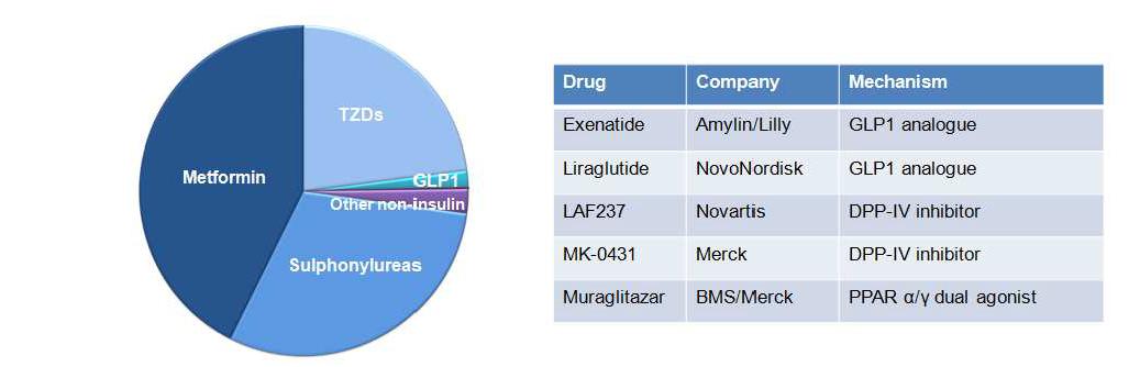 현재 제2형 당뇨병 치료제가 market에서 차지하는 비중(왼쪽)과 다국적 제약회사에서 개발 중인 제2형 당뇨병 치료제 후보물질들(오른쪽)