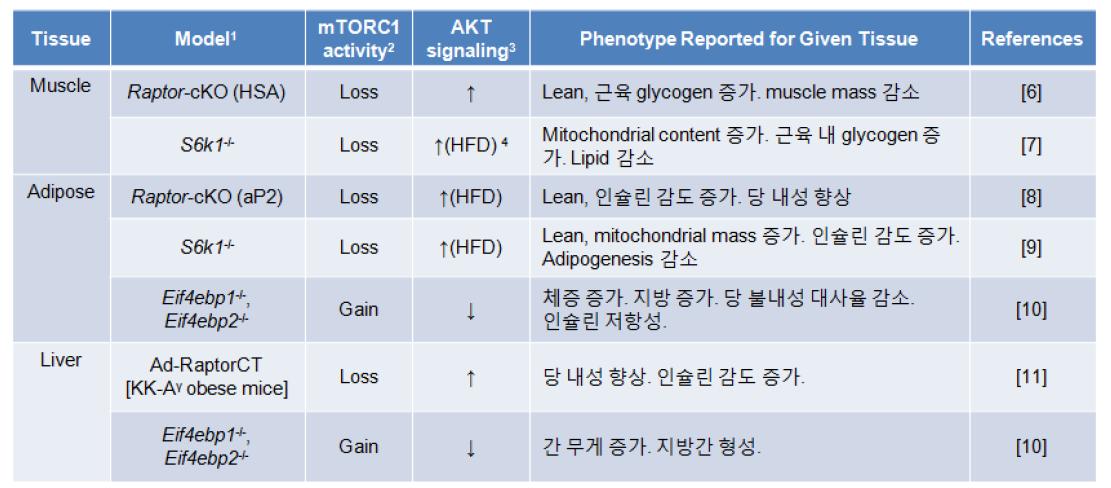 mTORC1 신호전달계 knockout 마우스의 phenotypes