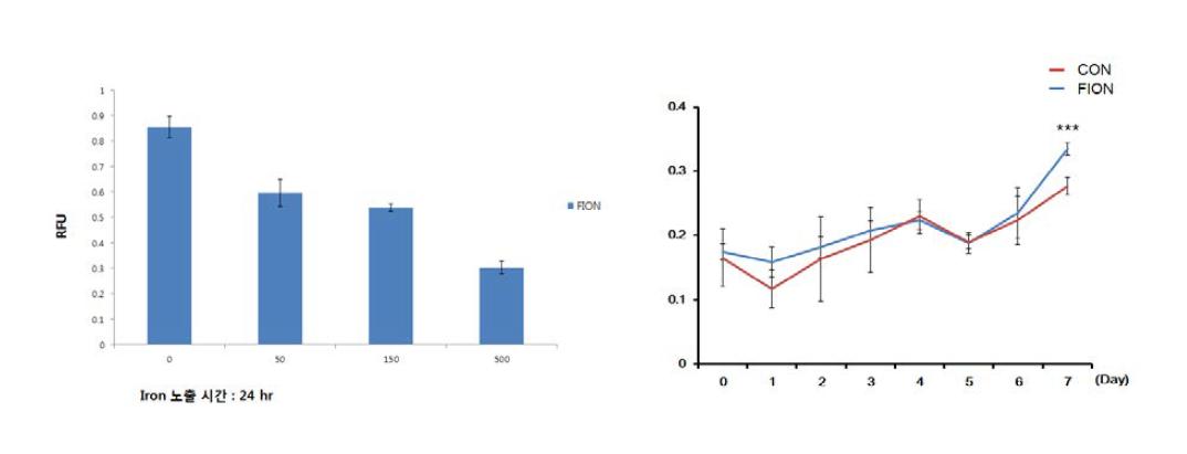 Cell viability assay. (좌) 농도를 500ng으로 높혀보아 셀 독성을 테스트함. 실제 실험은 10 ug으로 진행. (우) 10ug의 FION을 트랜스팩션 시킨후 7일까지 독성을 봄.