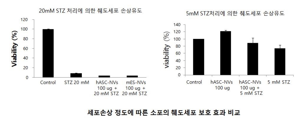 (좌) 고농도의 STZ로 손상을 유도한 췌도세포에서는 90 % 이상의 췌도세포가 STZ에 의해서 손상을 입기 때문에 소포에 의한 세포보호 효과를 관찰할 수가 없었음. (우) 췌도세포에 손상을 유도하는 STZ의 농도를 각각 달리 처리하여 평가한 결과 sub-lethal dosage로 STZ를 처리한 실험 군에서 동일한 양의 소포를 처리했을 때 췌도세포 보호 효과를 확인 할 수 있었음.