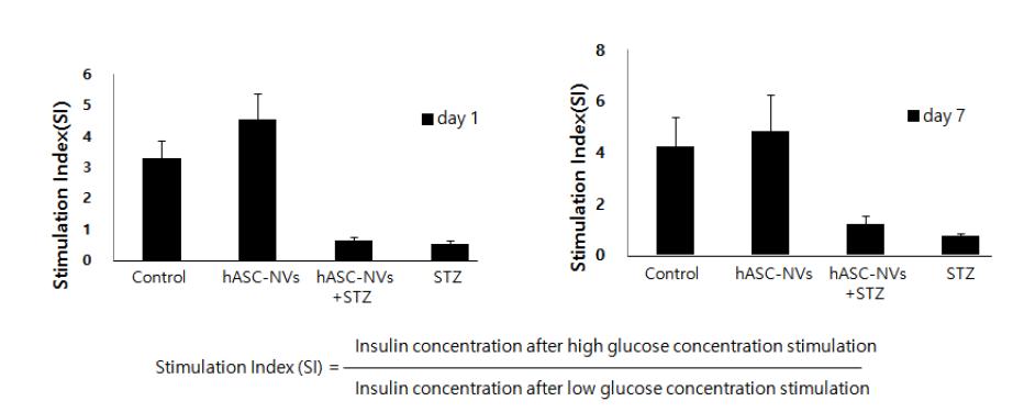 소포를 처리한 췌도세포군은 정상적인 기능을 하는 췌도세포의 glucose stimulation index인 2-20 사이의 지표를 갖는 것을 확인함.